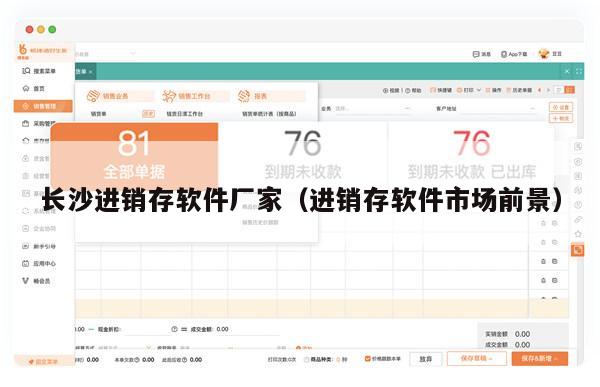 长沙进销存软件厂家（进销存软件市场前景）