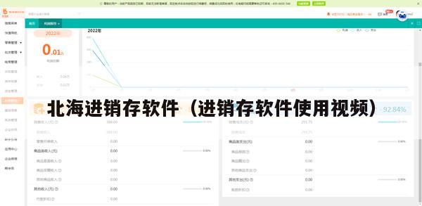 北海进销存软件（进销存软件使用视频）