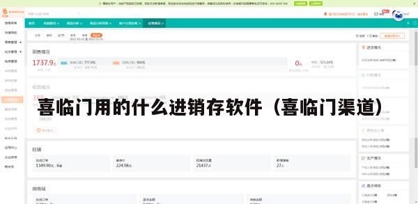喜临门用的什么进销存软件（喜临门渠道）