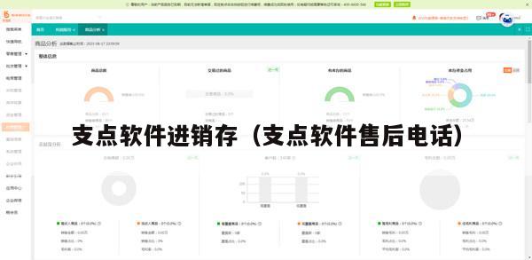 支点软件进销存（支点软件售后电话）
