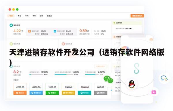 天津进销存软件开发公司（进销存软件网络版）