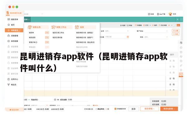 昆明进销存app软件（昆明进销存app软件叫什么）