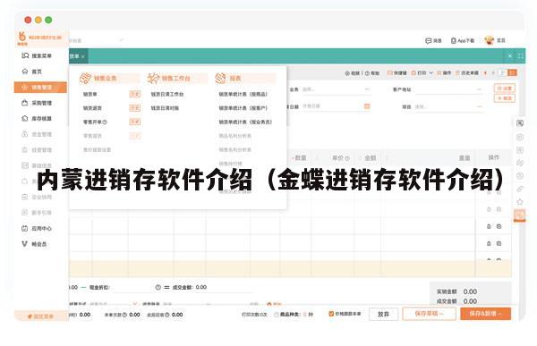 内蒙进销存软件介绍（金蝶进销存软件介绍）