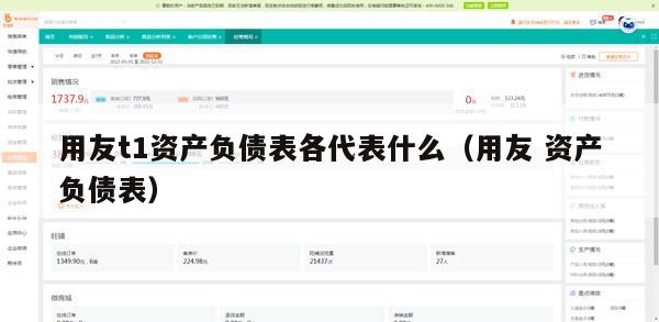 用友t1资产负债表各代表什么（用友 资产负债表）