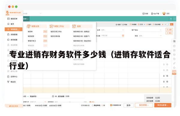 专业进销存财务软件多少钱（进销存软件适合行业）