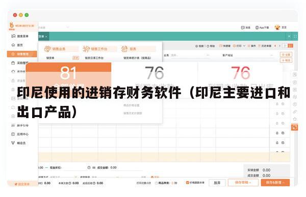 印尼使用的进销存财务软件（印尼主要进口和出口产品）