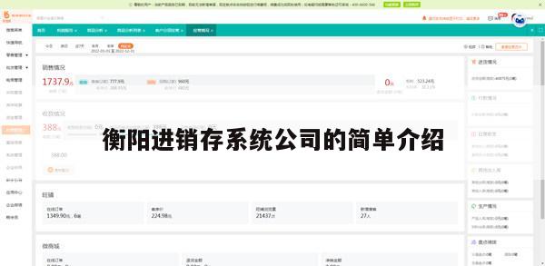 衡阳进销存系统公司的简单介绍