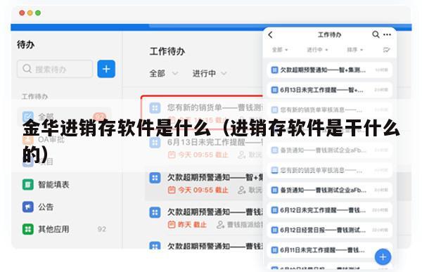 金华进销存软件是什么（进销存软件是干什么的）
