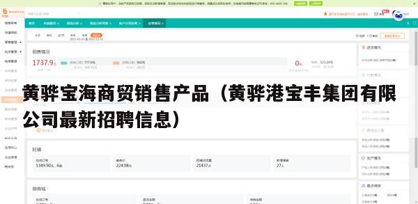 黄骅宝海商贸销售产品（黄骅港宝丰集团有限公司最新招聘信息）