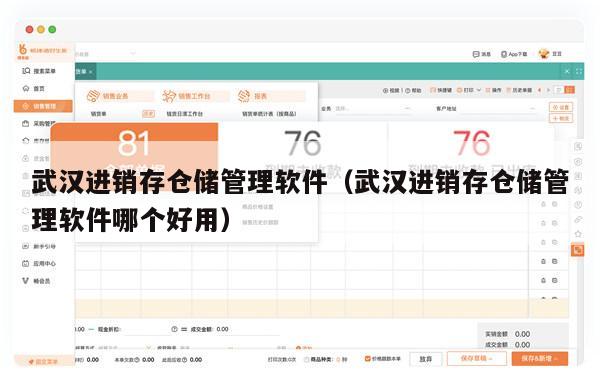 武汉进销存仓储管理软件（武汉进销存仓储管理软件哪个好用）