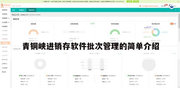 青铜峡进销存软件批次管理的简单介绍