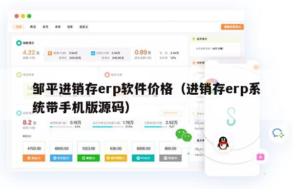 邹平进销存erp软件价格（进销存erp系统带手机版源码）