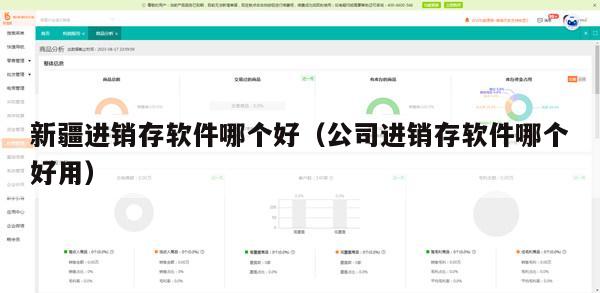 新疆进销存软件哪个好（公司进销存软件哪个好用）