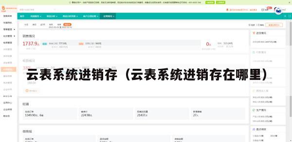 云表系统进销存（云表系统进销存在哪里）