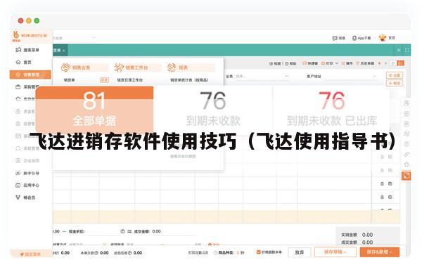 飞达进销存软件使用技巧（飞达使用指导书）