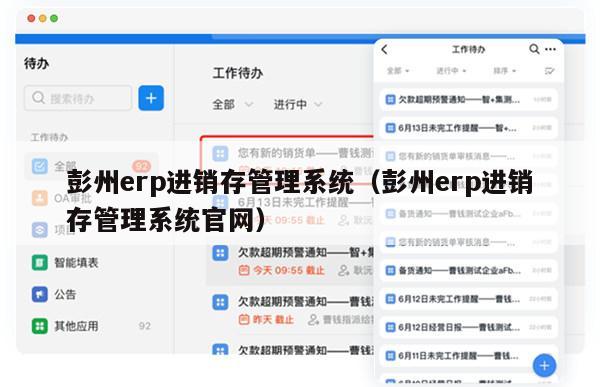 彭州erp进销存管理系统（彭州erp进销存管理系统官网）