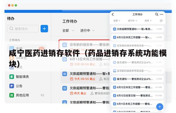 咸宁医药进销存软件（药品进销存系统功能模块）