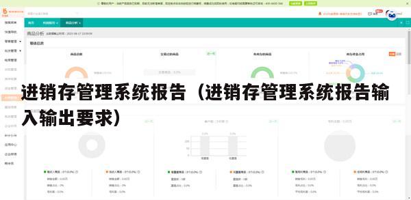 进销存管理系统报告（进销存管理系统报告输入输出要求）
