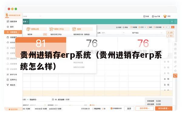 贵州进销存erp系统（贵州进销存erp系统怎么样）