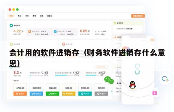 会计用的软件进销存（财务软件进销存什么意思）