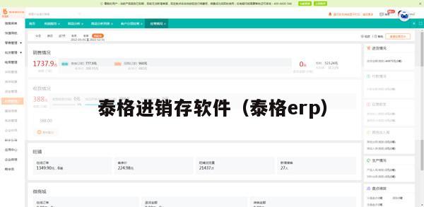 泰格进销存软件（泰格erp）