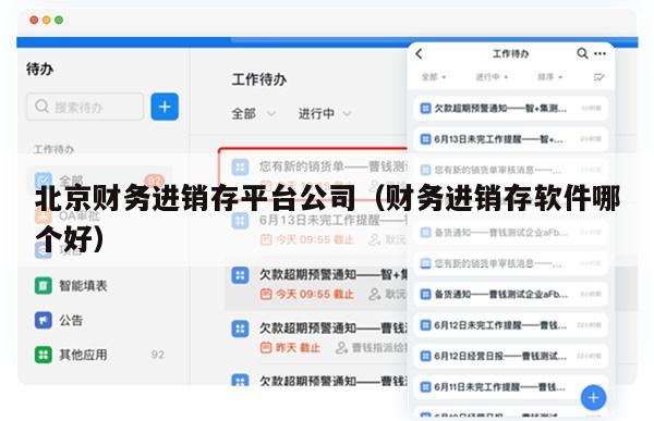 北京财务进销存平台公司（财务进销存软件哪个好）