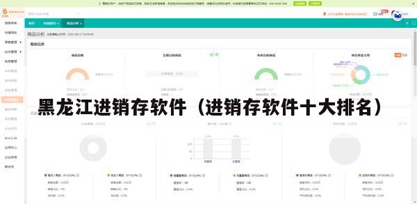 黑龙江进销存软件（进销存软件十大排名）