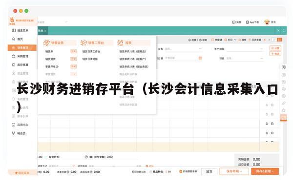长沙财务进销存平台（长沙会计信息采集入口）