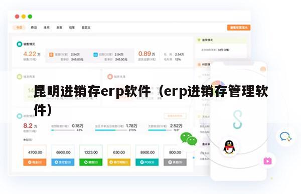 昆明进销存erp软件（erp进销存管理软件）
