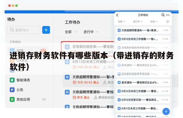 进销存财务软件有哪些版本（带进销存的财务软件）