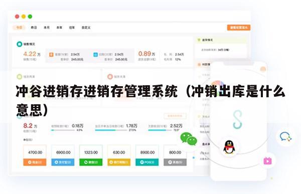 冲谷进销存进销存管理系统（冲销出库是什么意思）