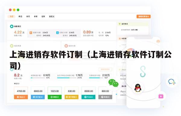 上海进销存软件订制（上海进销存软件订制公司）