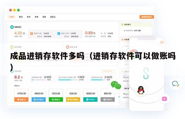 成品进销存软件多吗（进销存软件可以做账吗）
