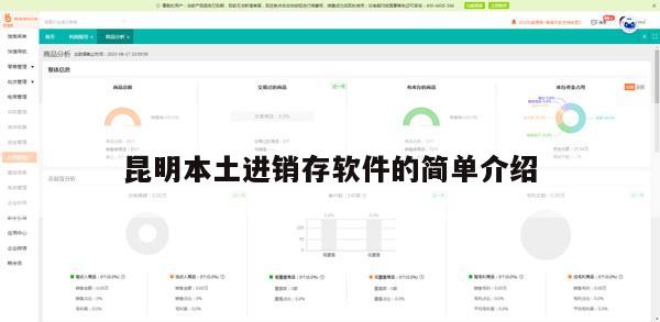 昆明本土进销存软件的简单介绍