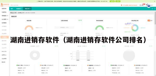 湖南进销存软件（湖南进销存软件公司排名）
