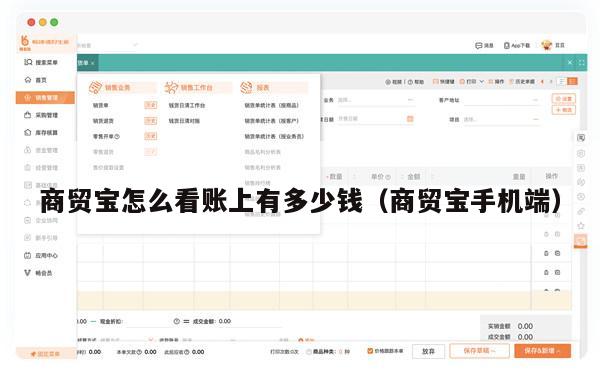 商贸宝怎么看账上有多少钱（商贸宝手机端）
