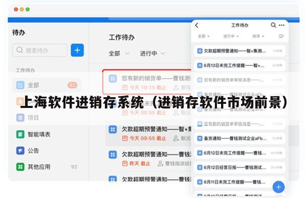 上海软件进销存系统（进销存软件市场前景）