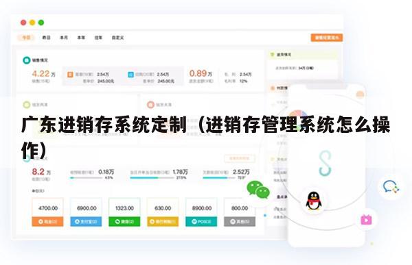广东进销存系统定制（进销存管理系统怎么操作）