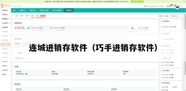 连城进销存软件（巧手进销存软件）