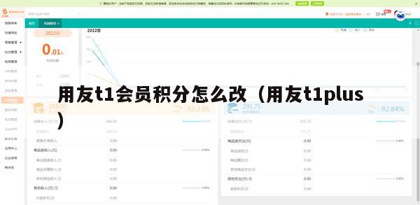 用友t1会员积分怎么改（用友t1plus）