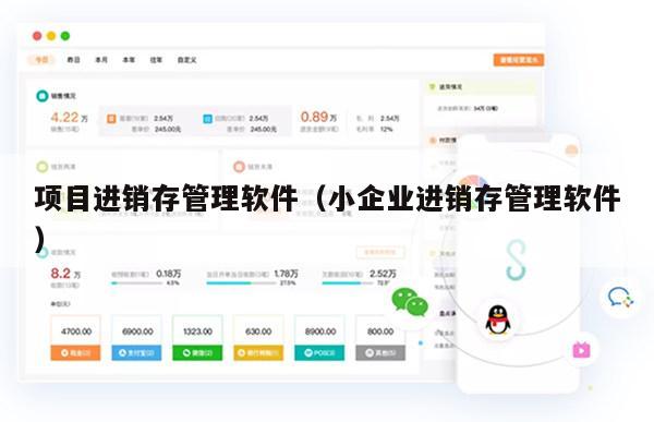 项目进销存管理软件（小企业进销存管理软件）