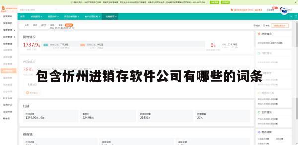 包含忻州进销存软件公司有哪些的词条