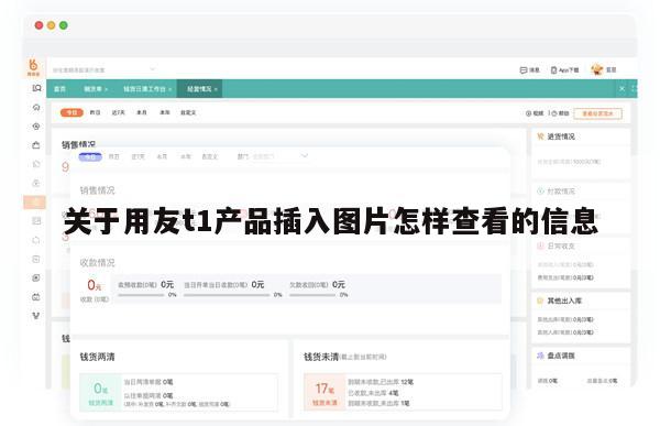 关于用友t1产品插入图片怎样查看的信息