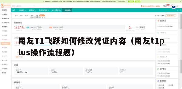 用友T1飞跃如何修改凭证内容（用友t1plus操作流程题）