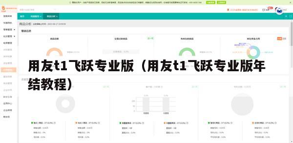 用友t1飞跃专业版（用友t1飞跃专业版年结教程）