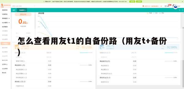 怎么查看用友t1的自备份路（用友t+备份）