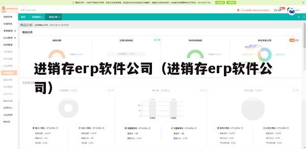 进销存erp软件公司（进销存erp软件公司）