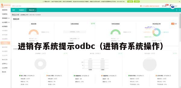 进销存系统提示odbc（进销存系统操作）