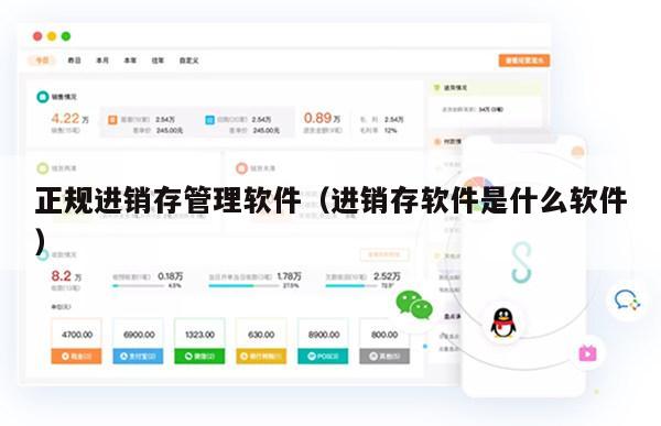 正规进销存管理软件（进销存软件是什么软件）
