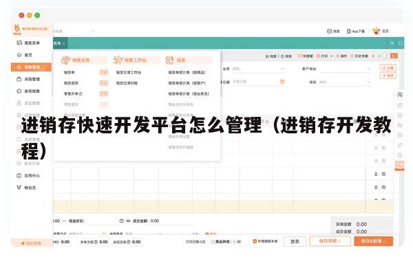 进销存快速开发平台怎么管理（进销存开发教程）